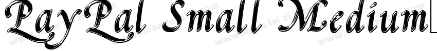 PayPal Small Medium字体转换
